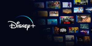 Read more about the article Disney+、パスワード共有規制を導入。音楽DSPは、動画配信サービスのトレンドに追随するか?